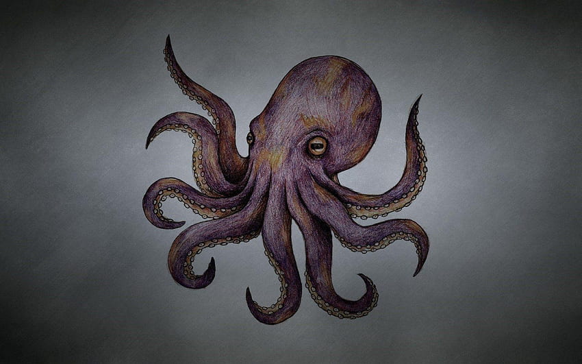 Octopus . Steampunk Octopus , Octopus and Dr. Octopus, Octopus Minimalistic HD wallpaper