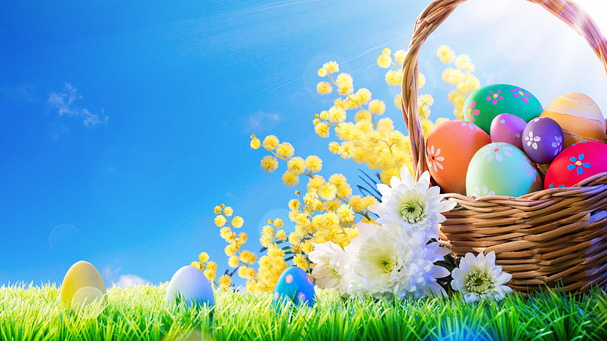 Kwiaty, kolorowe jajka, kosz, trawa, błękitne niebo, Wielkanoc Tapeta HD