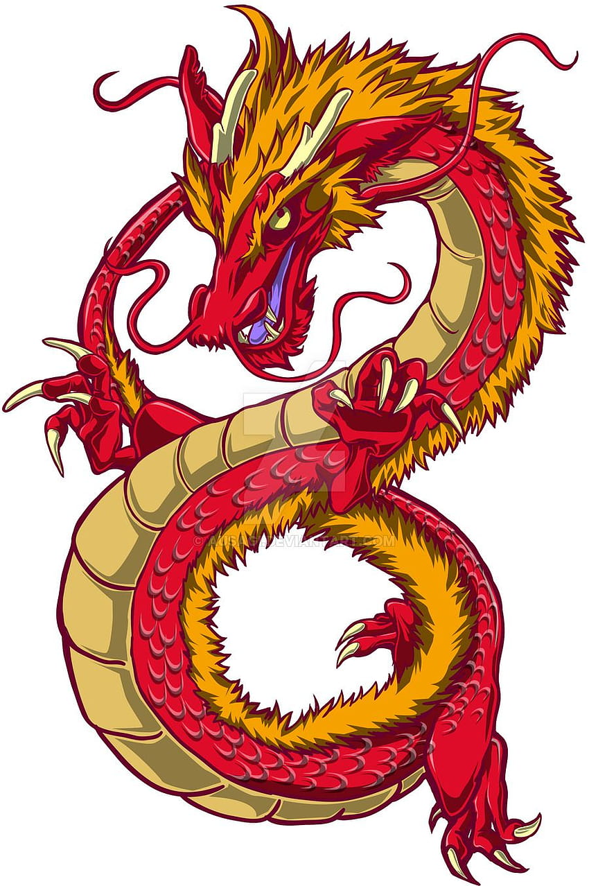 Chinese Dragon , Artistic, HQ Chinese Dragon . HD phone wallpaper