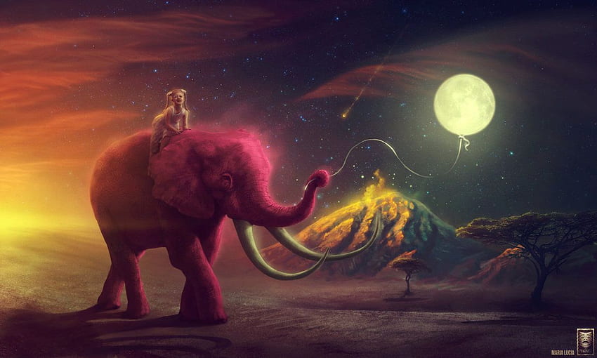 Viaggiatore di elefanti Il mio elefante rosa, il simpatico elefante rosa Sfondo HD
