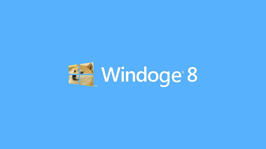 Windoge 8 DOGE Meme [] na telefon komórkowy i tablet. Przeglądaj tło memów. Memy, Memy z Minecrafta Tapeta HD