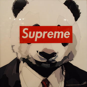 Panda Bear by Akira Supreme on Behance