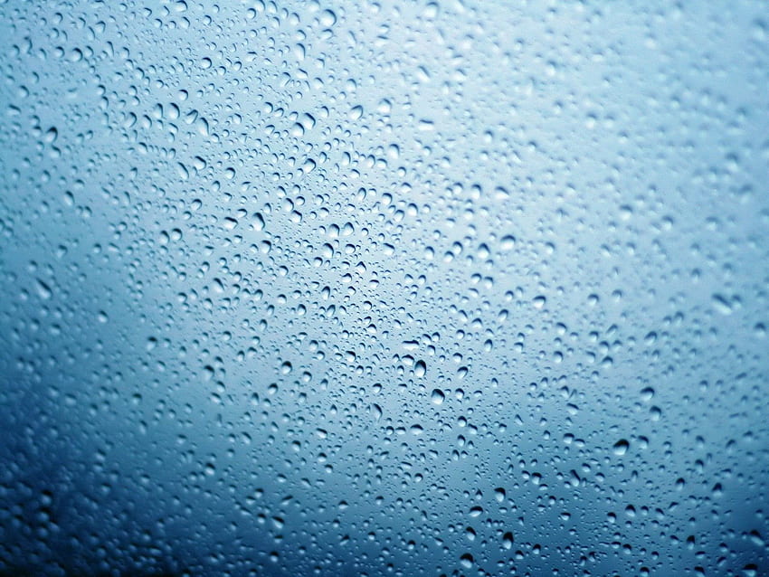 Drops, Macro, Wet, Surface, Humid HD wallpaper