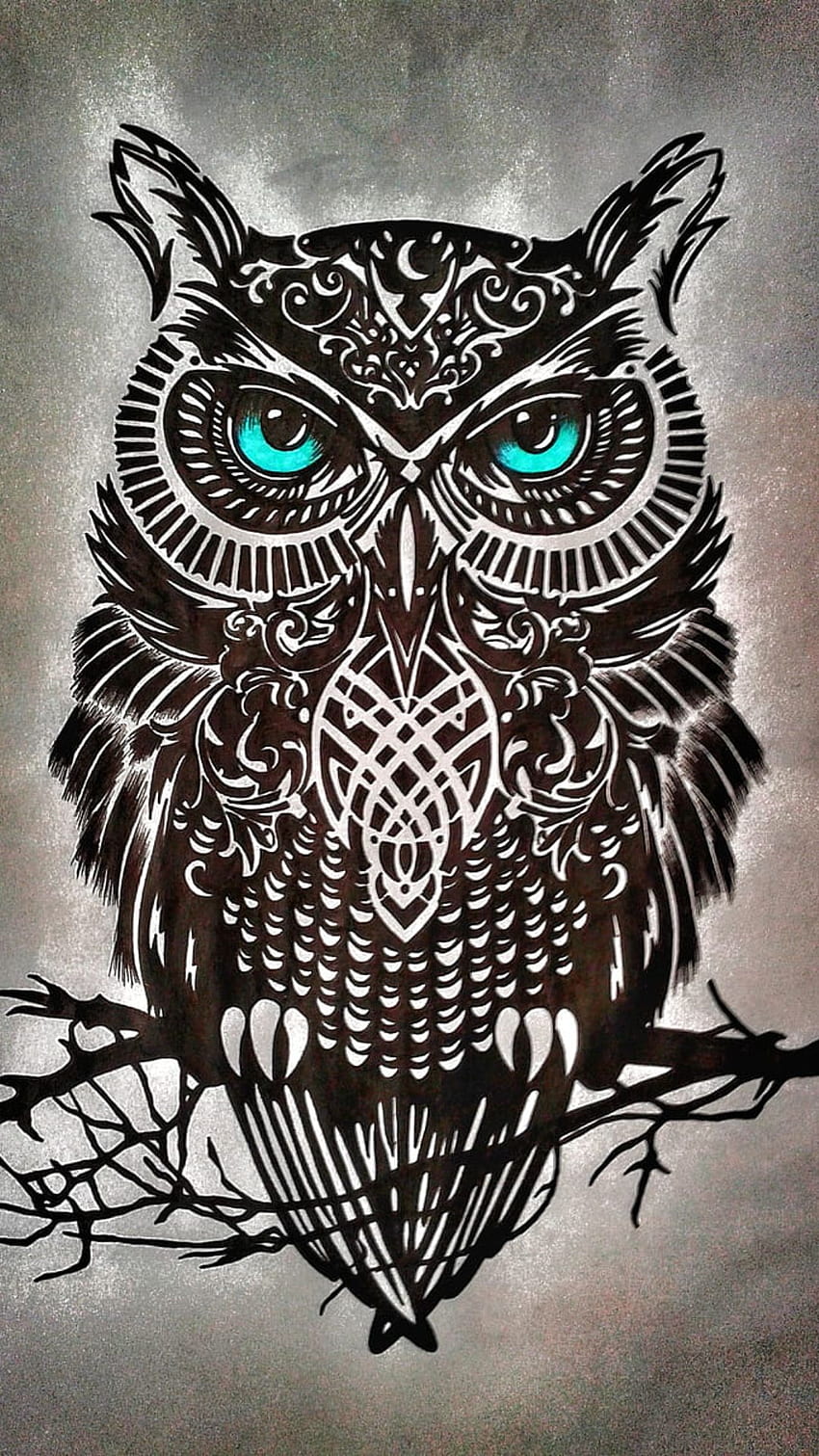Owl Profile - Top Best Owl Profile HD phone wallpaper