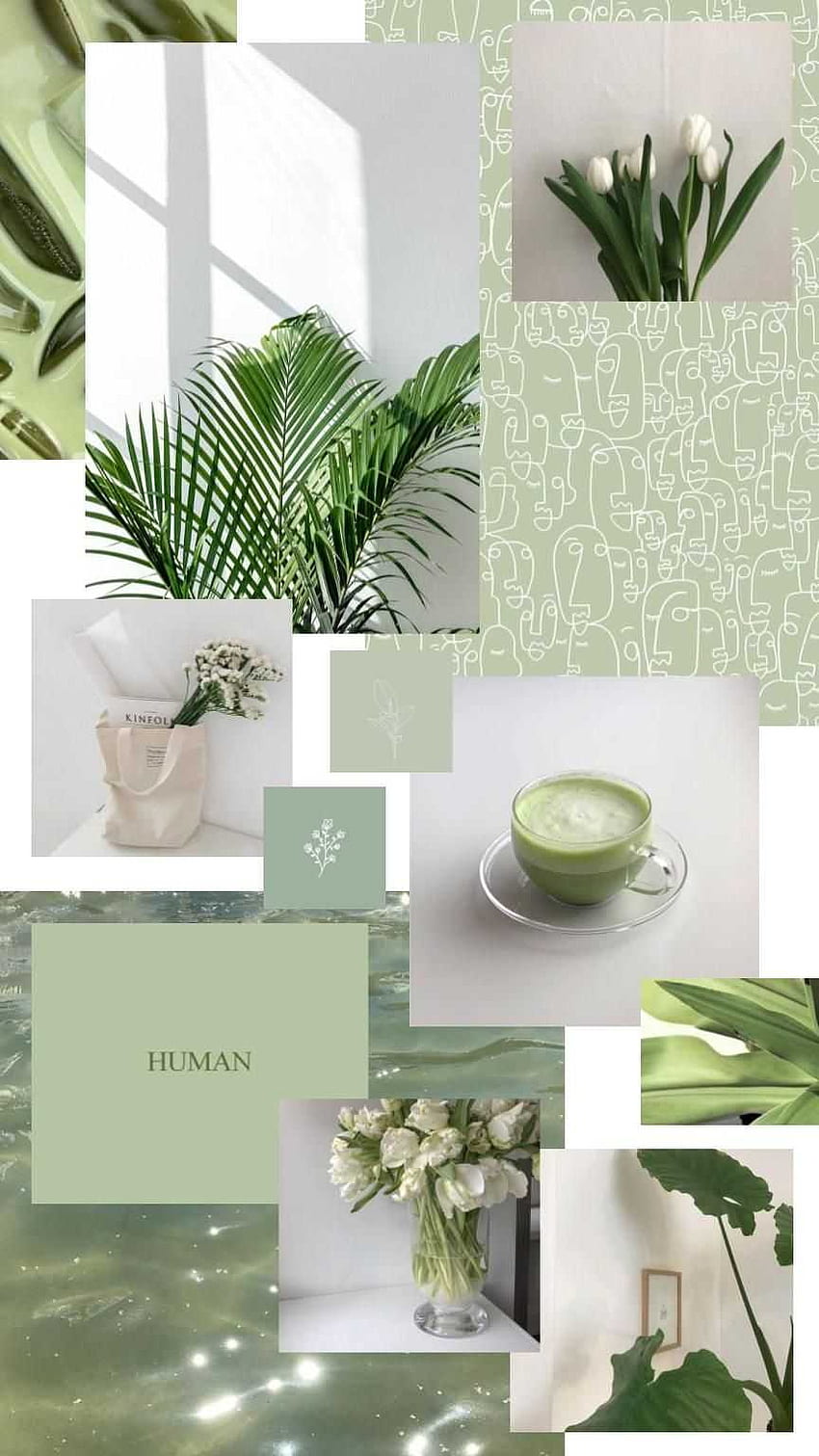 preppy aesthetic sage green wallpaperTikTok Search