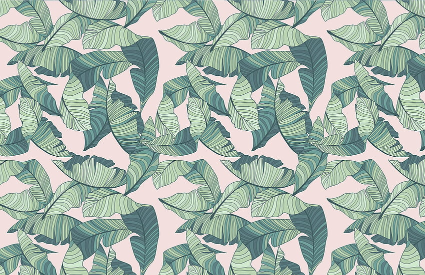 Pink And Green Tropical Leaf - HD wallpaper