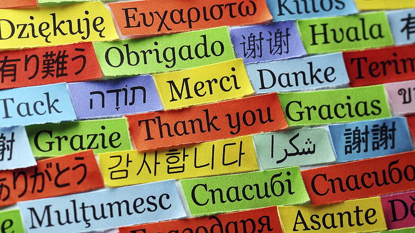 From Salt To Salary: Linguists Take A Page From Science, Languages HD wallpaper