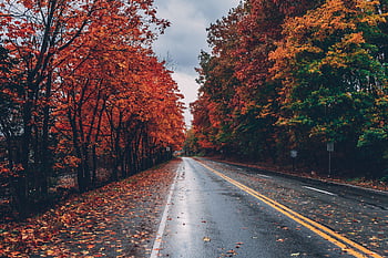 Lonely Road, lonely highway, hanzo, nevada, v rod HD wallpaper | Pxfuel