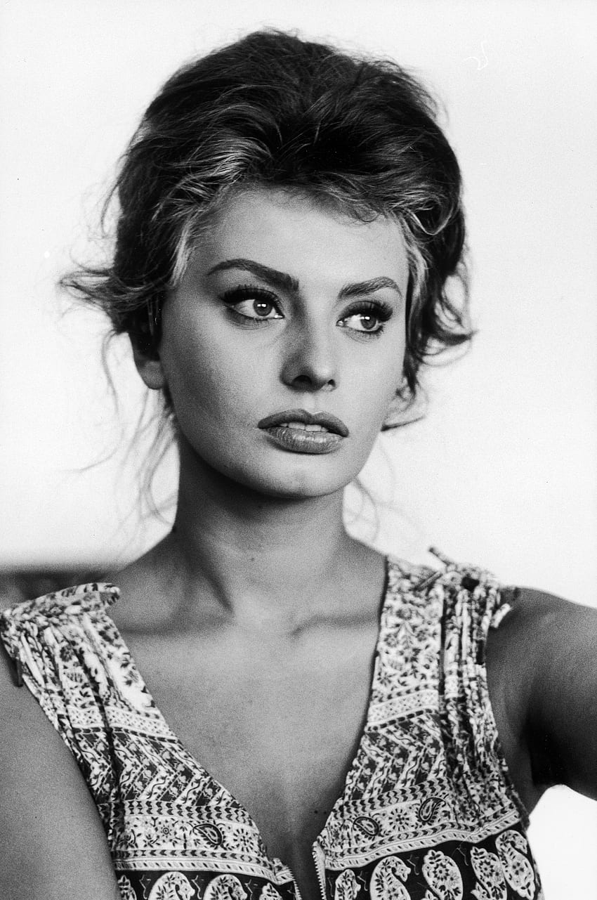 Look We Love: Cateye icónico de Sophia Loren. Sophia Loren fondo de pantalla del teléfono