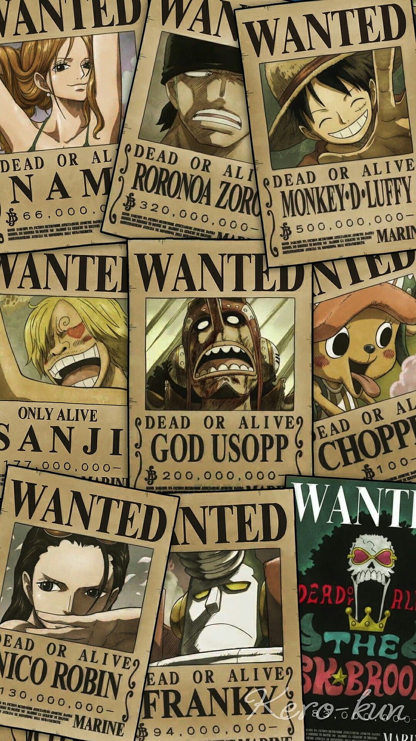 One Piece Wanted, Chopper Bounty Fond d'écran de téléphone HD