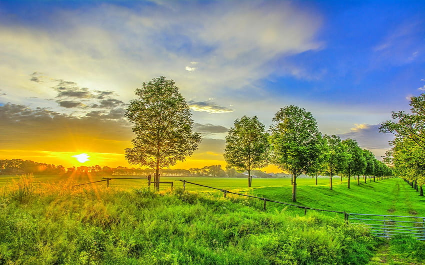 Sonnenuntergang bei Green Land, Grün, Wolken, Bäume, Natur, Wald, Land, Sonnenuntergang HD-Hintergrundbild