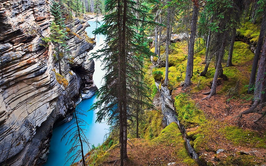 Of 213170 Nature, Landscape, River, Canada, Forest, Grass, Trees, Cliff, Rock, Water, Erosion, Alberta. Do. Nature, Landscape, Erosion HD wallpaper