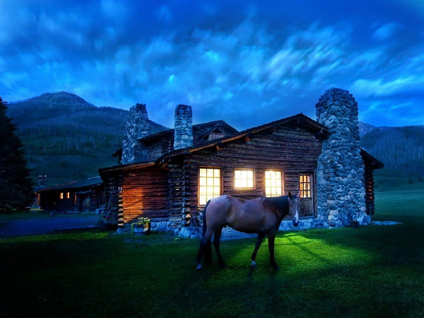 An Evening Stroll Around the Cabin, horse, cabin, evening HD wallpaper
