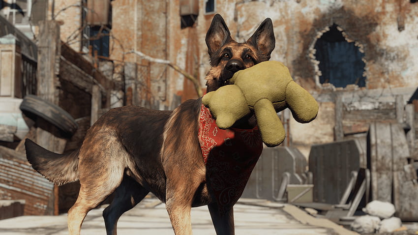 FO4 Screenshots and Characters [Archive], Dog Meat Fallout 4 HD wallpaper