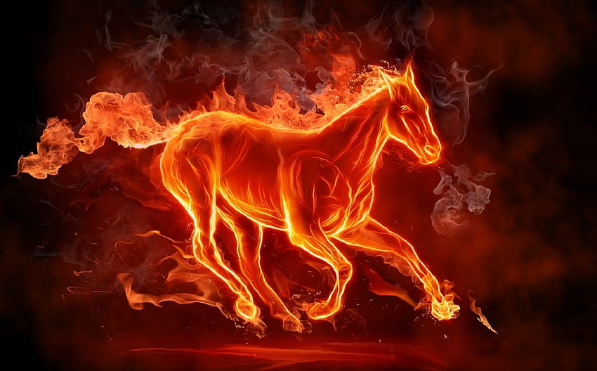 Fire Horse. Horse , Fire art, Fire horse, Demon Horse HD wallpaper