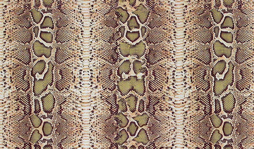 Wężowa skóra, różowa wężowa skóra Tapeta HD