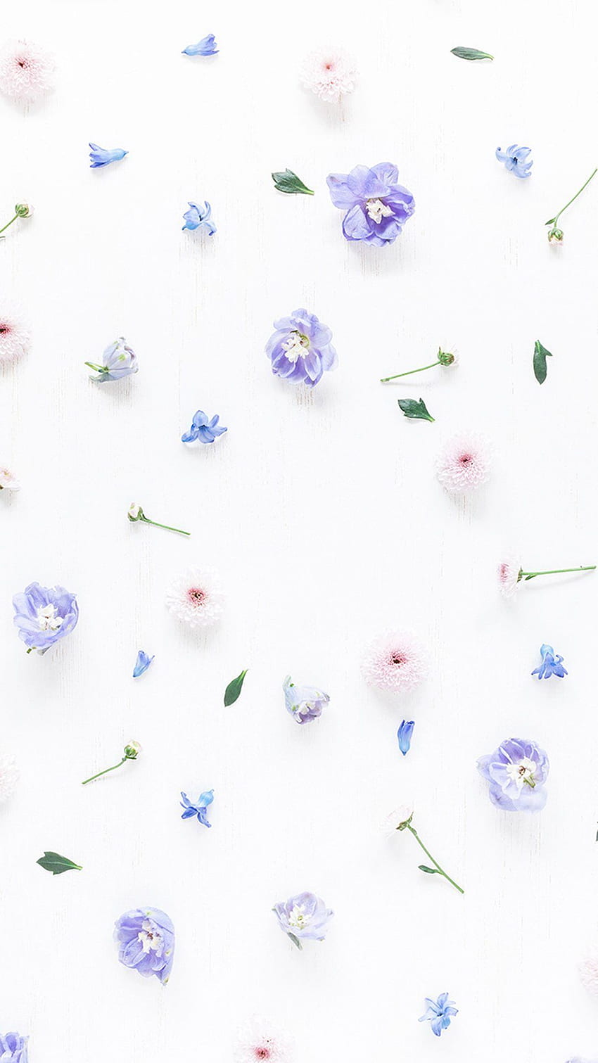Aesthetic iPhone Pastel Floral in 2020. Floral iphone, Flowery, 아이폰 빈티지, 귀여운 파스텔 꽃 HD 전화 배경 화면