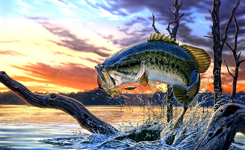 Bass Fishing, U Fish HD wallpaper