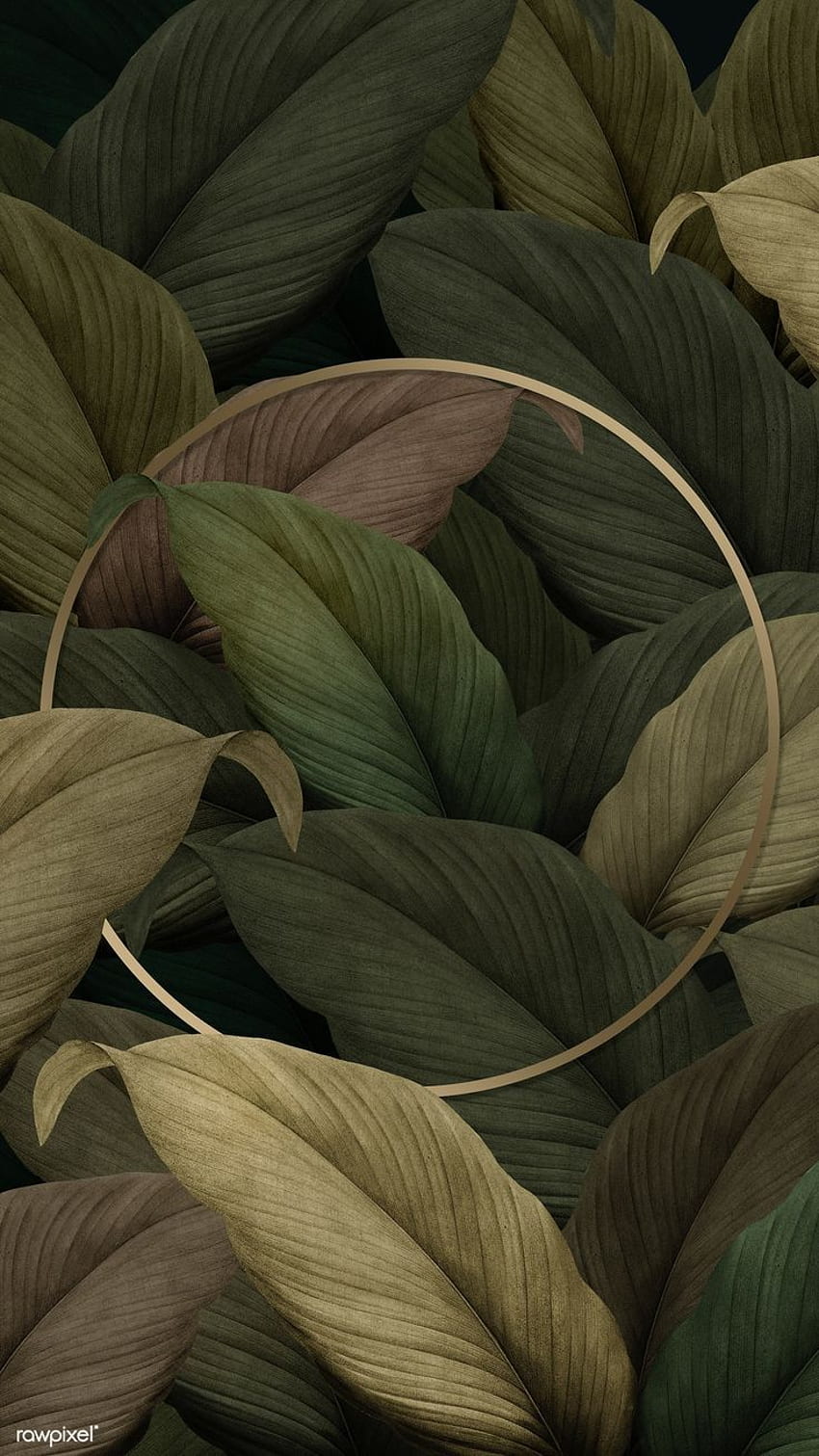 2020년 열대 잎에 있는 금색 원형 프레임의 프리미엄 삽화.액자, 잎 배경, 열대 잎, 열대 식물 그리기 HD 전화 배경 화면