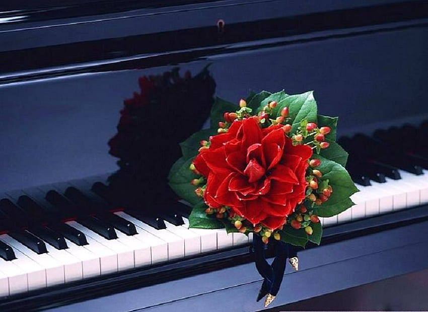 Gracias por la musica, teclas, piano, hojas verdes, flor, blanco y negro, rojo fondo de pantalla
