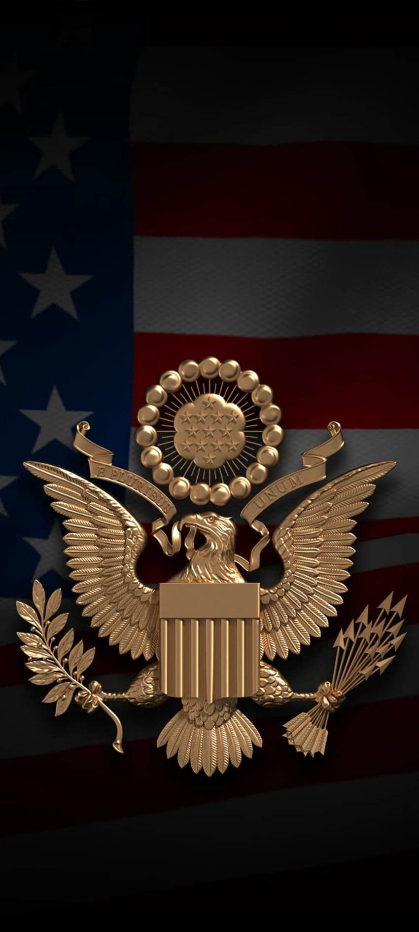 Golden USA dark, insigne, plume, symbole, drapeau, entreprise, logo Fond d'écran de téléphone HD