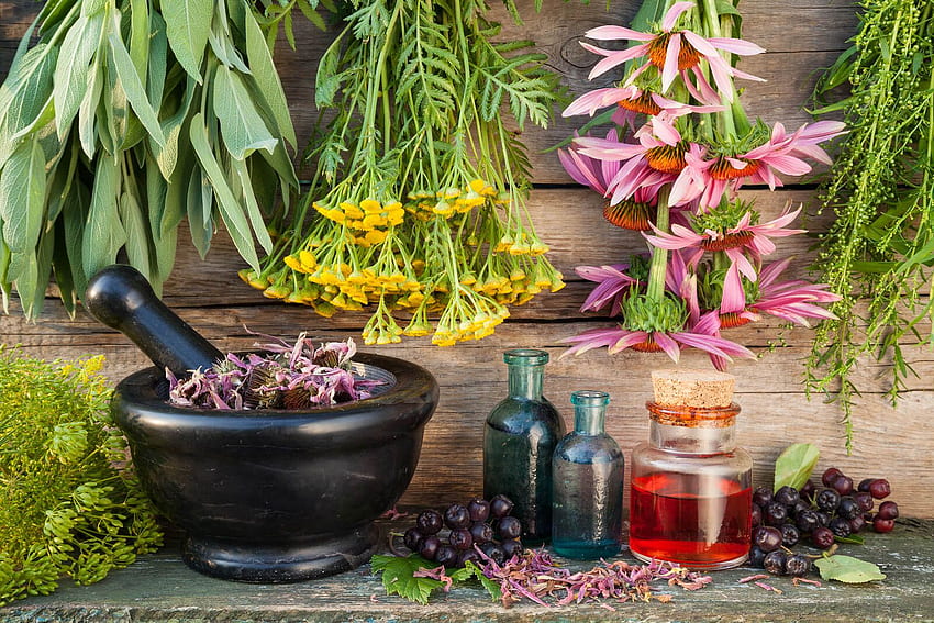 Herbal Medicine . Dr. K Mudry, ND Online Naturopathic, Naturopathy HD wallpaper