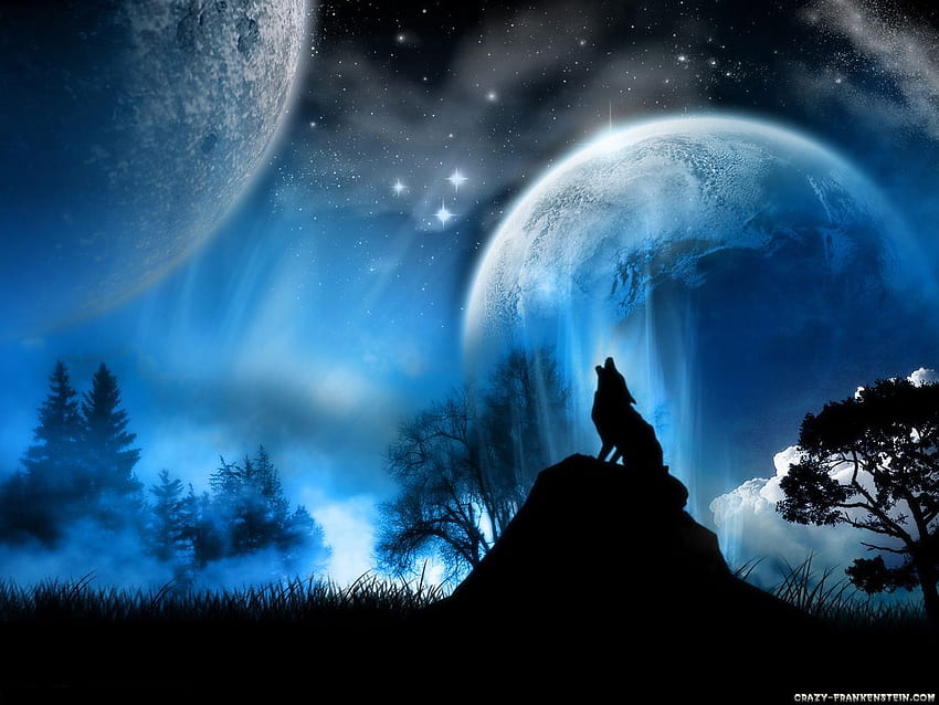 Cool Wolf Pack. Fire and Ice the wolf pack wolf . Places HD wallpaper