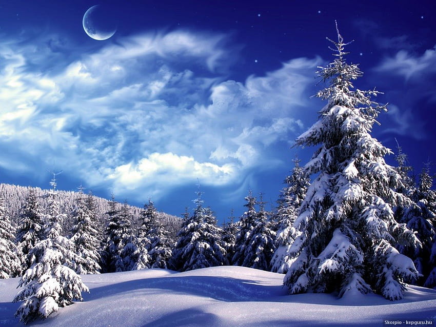 Зимно време, Зима, Бор, Планини, Луна HD тапет
