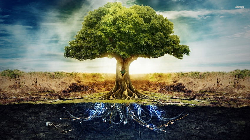 árvore da vida, raízes, vida, chão, árvore papel de parede HD