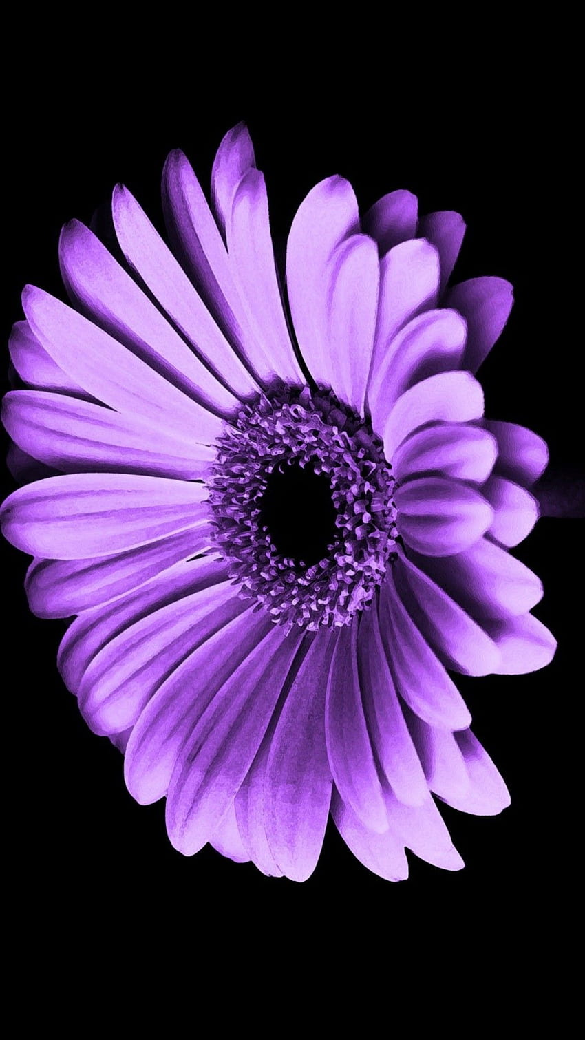 Purple Flowers iPhone . 2019 Cute, Cute Floral HD phone wallpaper