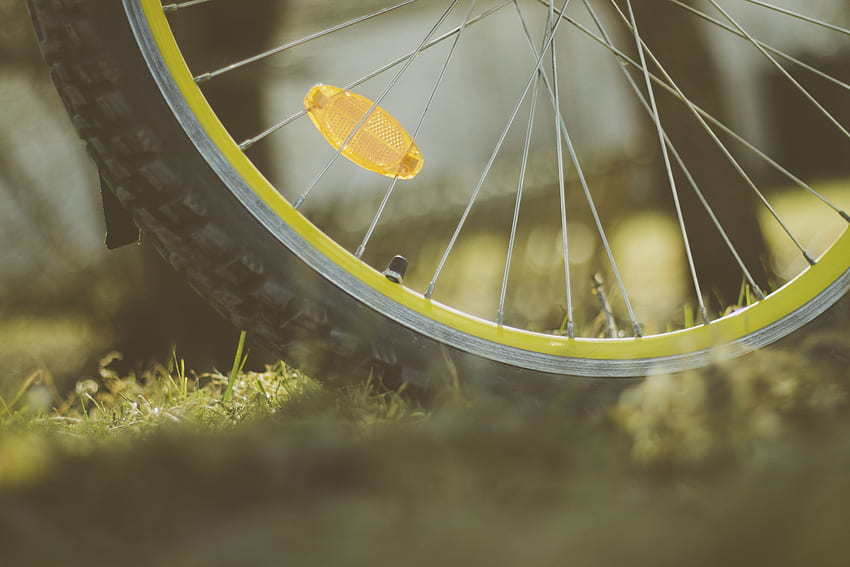 Wheel, Bicycle, Spokes HD wallpaper