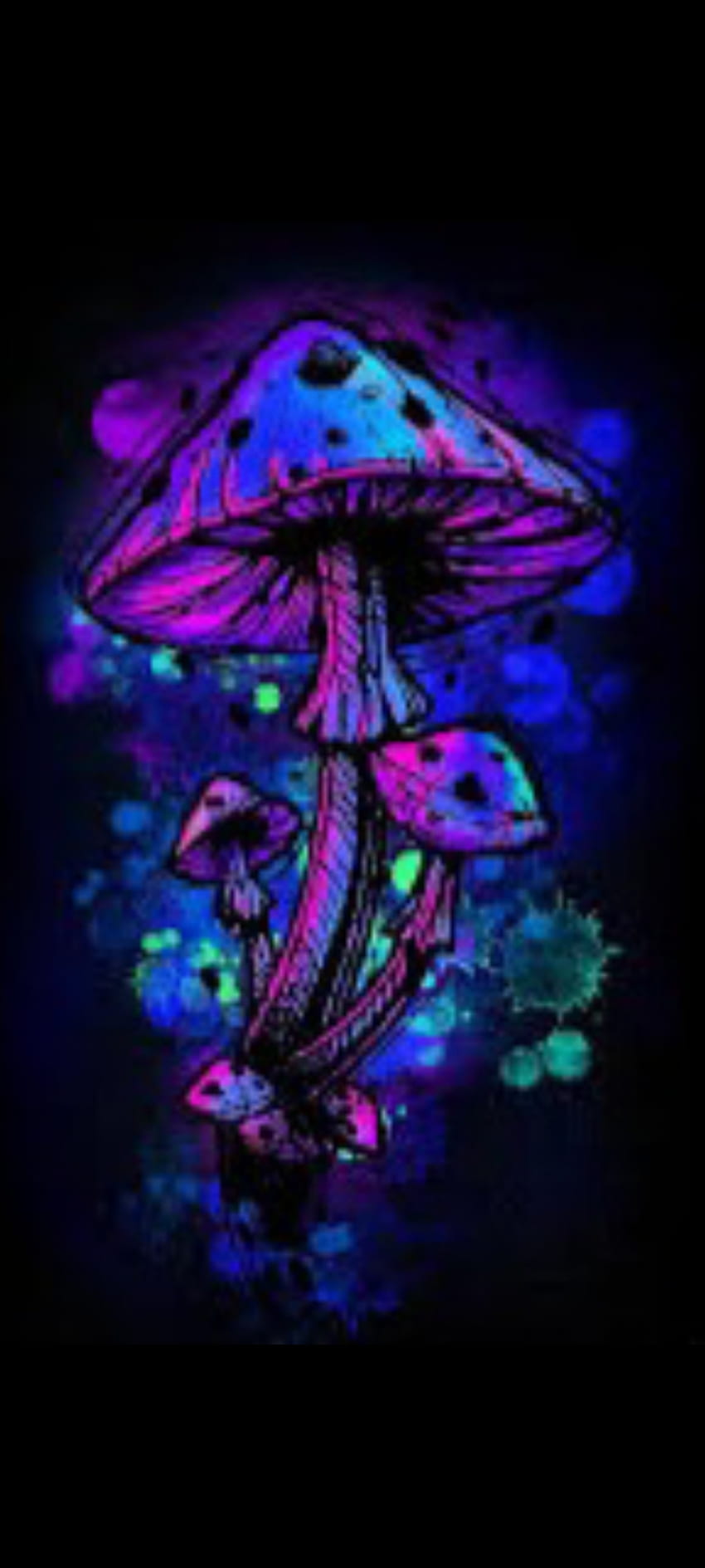 mushrooms Live Wallpaper - free download