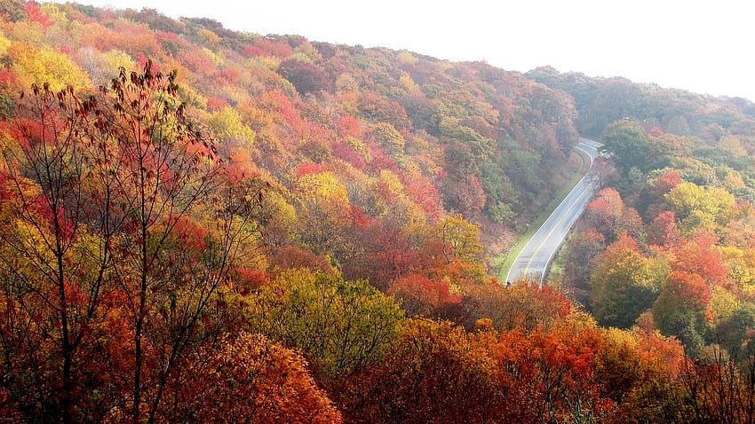 Планински път, Северна Каролина, есен, дървета, есен, път, природа, гора, планина HD тапет