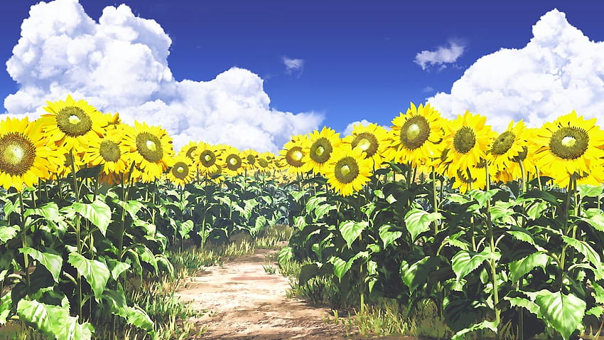 clouds flowers grass ihara asta nobody original scenic sky, Anime Sunflower HD wallpaper