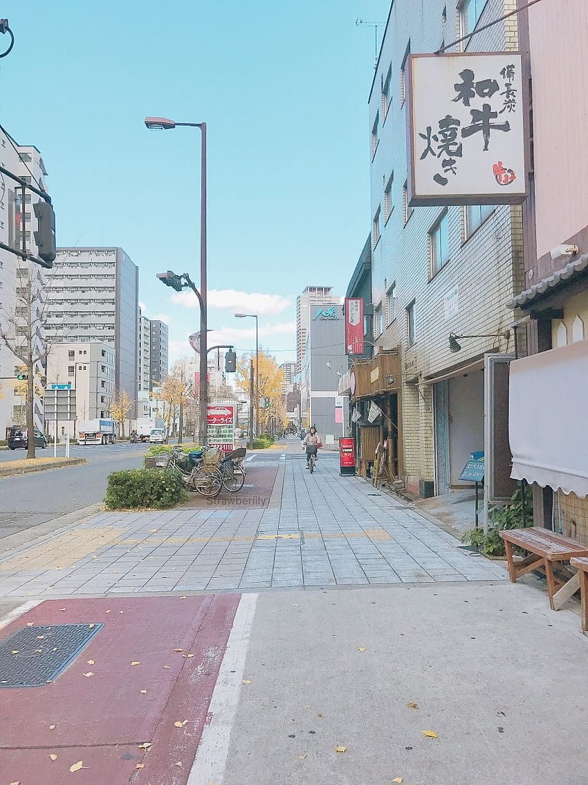 大阪のストリート ビュー。 これを撮ってからでした HD電話の壁紙