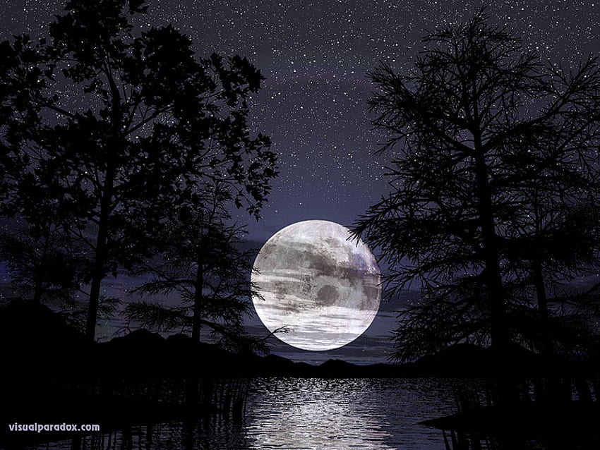 Blue Moon, trees, water, setting HD wallpaper