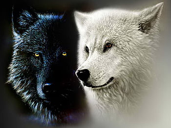 chibi wolf couple