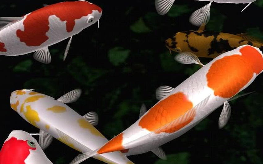 Projeto de paisagismo de jardim premiado para lagos de peixes Koi, lagos japoneses de peixes Koi papel de parede HD