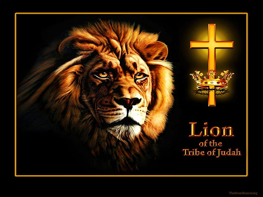 Lion Of The Tribe Of Judah, Lion Cross HD wallpaper