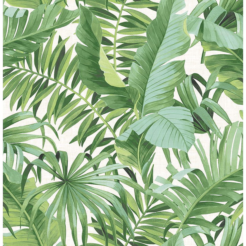 A Street Mencetak Kertas Alfresco Green Palm Leaf Non Paste Roll (Cover 56.4 Sq. Ft.) 2744 24136 The Home Depot wallpaper ponsel HD
