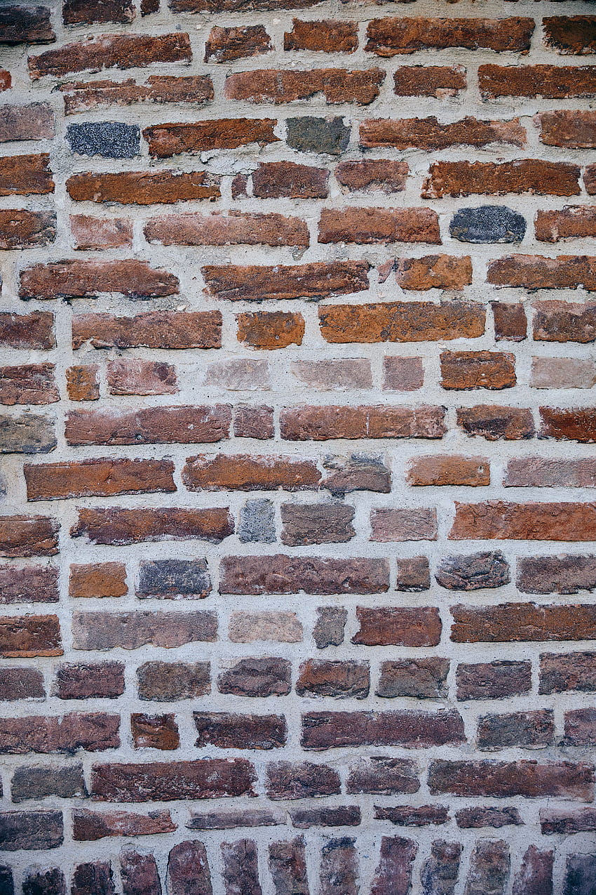 Texture, Textures, Wall, Brick HD phone wallpaper