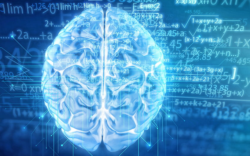 青いネオンの脳、数学の概念、青い数学の背景、脳の概念、青い教育の背景、解像度の教育の概念。 高品質 高画質の壁紙