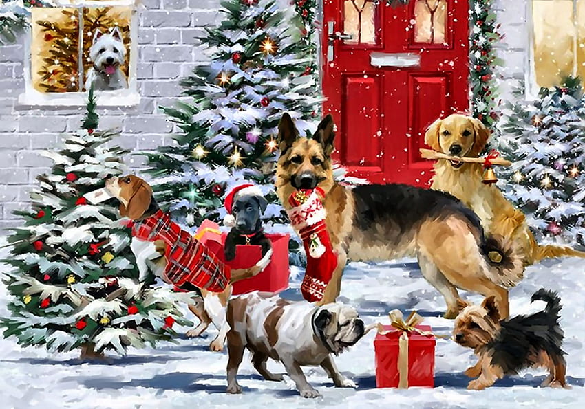 Забавни кучета F, зима, животно, кучета, йорки, , сняг, бигъл, изкуство, булдог, немска овчарка, красиво, илюстрация, произведение на изкуството, широк екран, голдън ретривър, домашни любимци, куче, лабрадор ретривър HD тапет