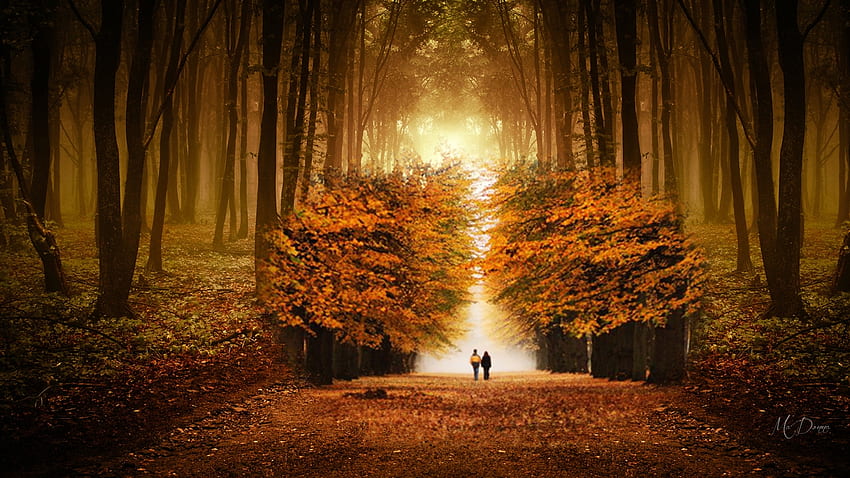 Autumn Hand in Hand, path, fall, lovers, walk, collage, leaves, trees, autumn, stroll HD wallpaper