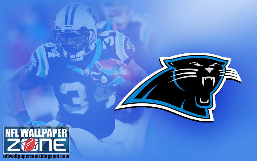 Carolina panthers 1080P, 2K, 4K, 5K HD wallpapers free download