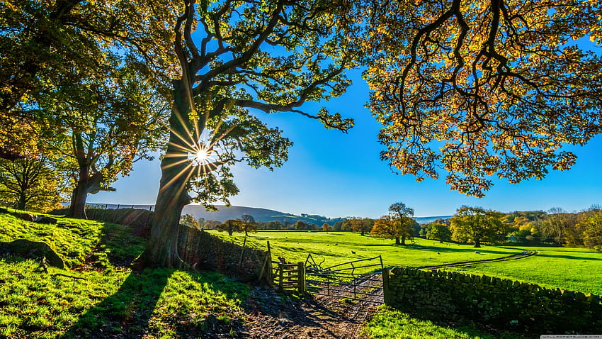 Beautiful England Nature Countryside Scenery Ultra Background for U TV : & UltraWide & Laptop : Tablet : Smartphone, Breathtaking Nature HD wallpaper