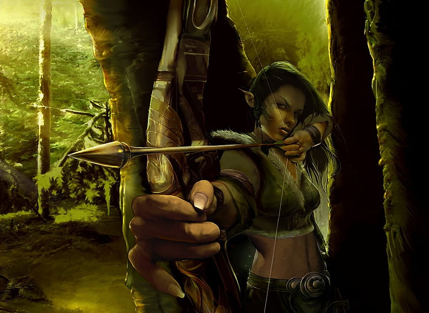 Elf Archer, archer, elf, fantasy, forest HD wallpaper