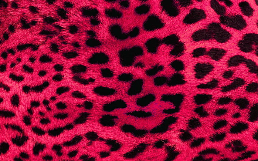 Pink Leopard Fur .dog, Neon Leopard HD wallpaper