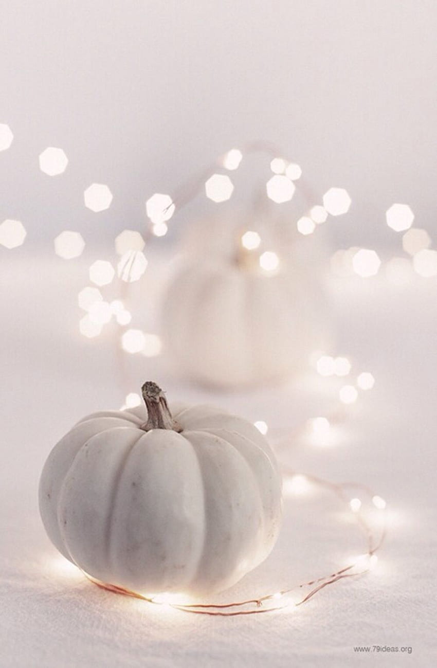 Fall Knitting Patterns. party time. White pumpkins, Fall, Hipster Halloween HD phone wallpaper