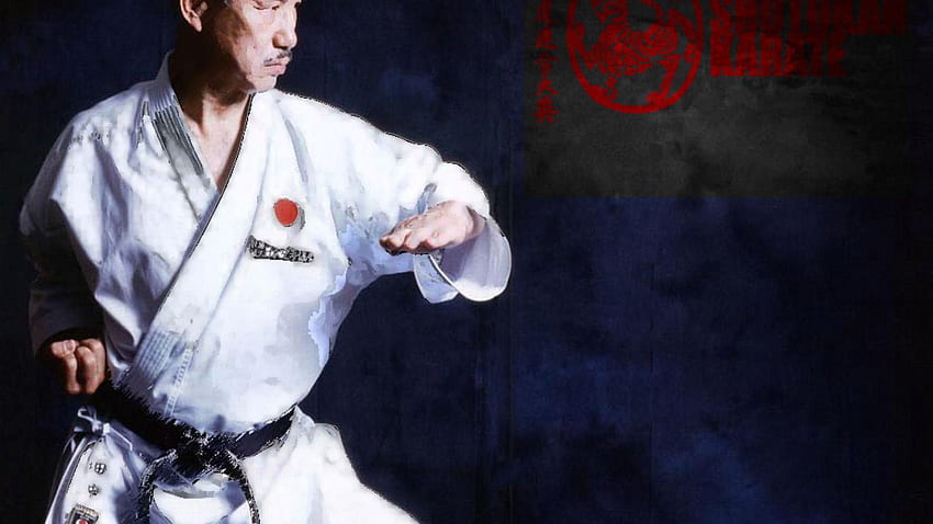 Shotokan Karate. LES ARTS MARTIAUX. Shotokan karate, Shotokan Karate Do HD wallpaper